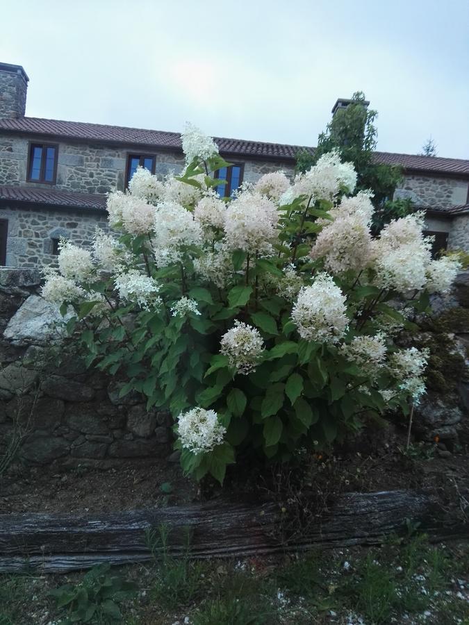 A Casina De Esther Teo Esterno foto